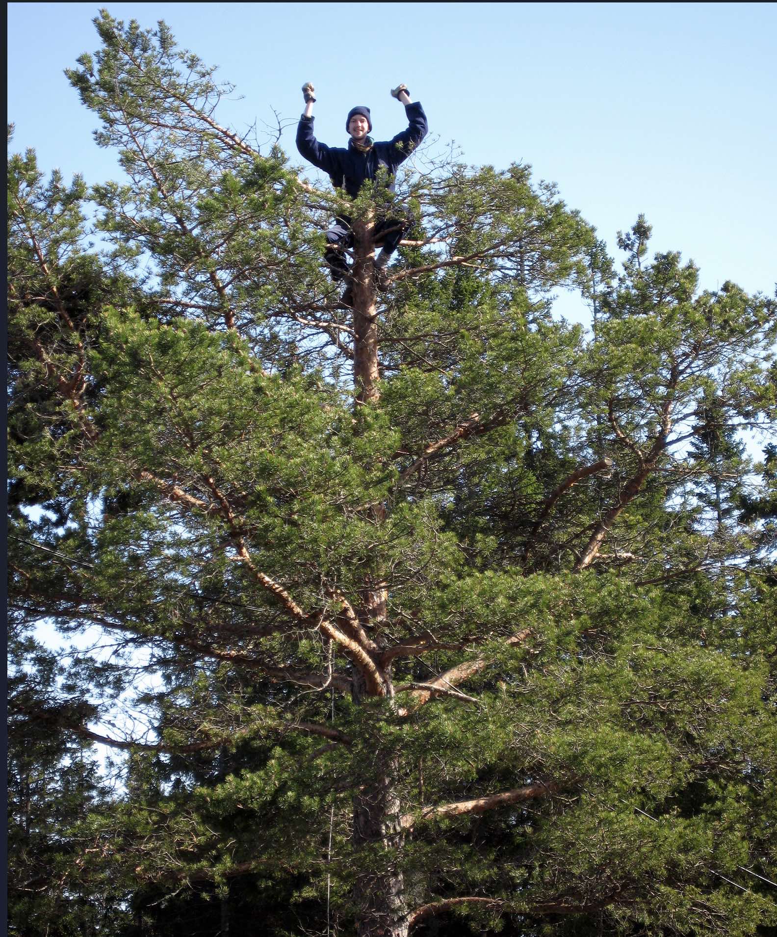 Här syns jag i ett träd.